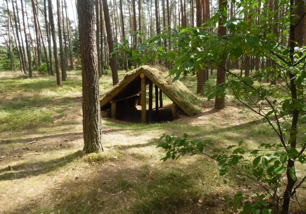 Atrakcje dla dzieci w Borach Tucholskich: 10 pomysłów na rodzinny wypoczynek