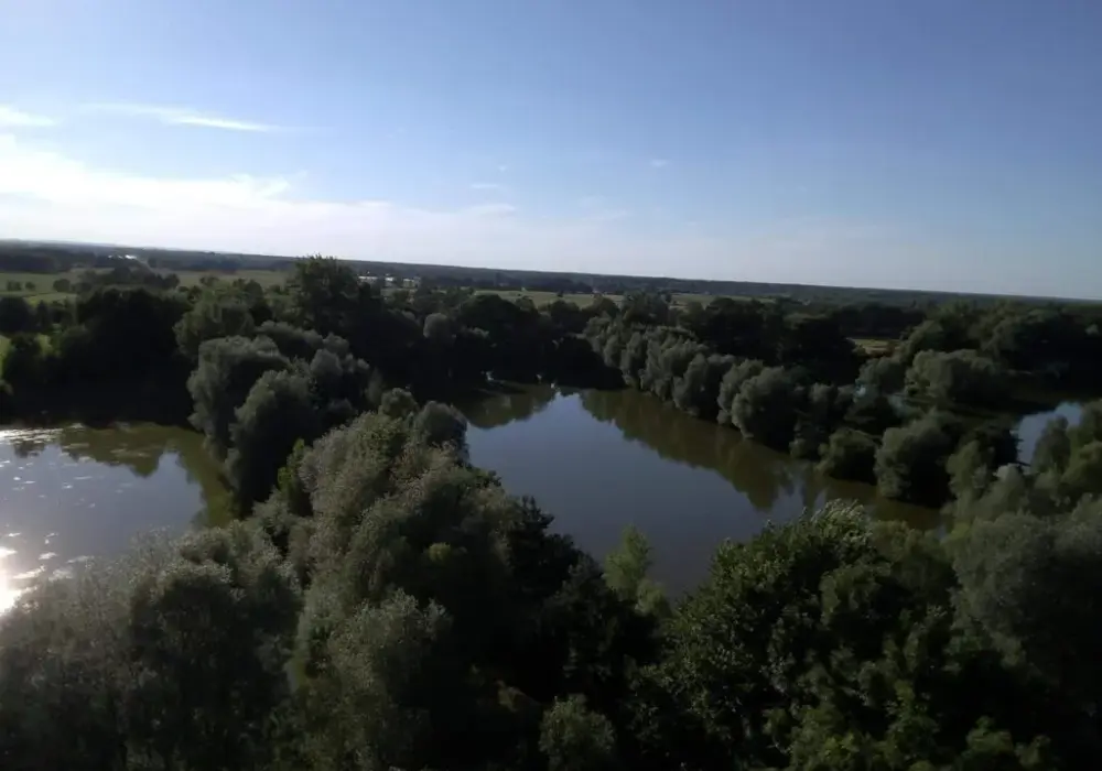 Najlepsze łowiska w Dolnośląskiem – gdzie łowić i jakie ryby złowisz?