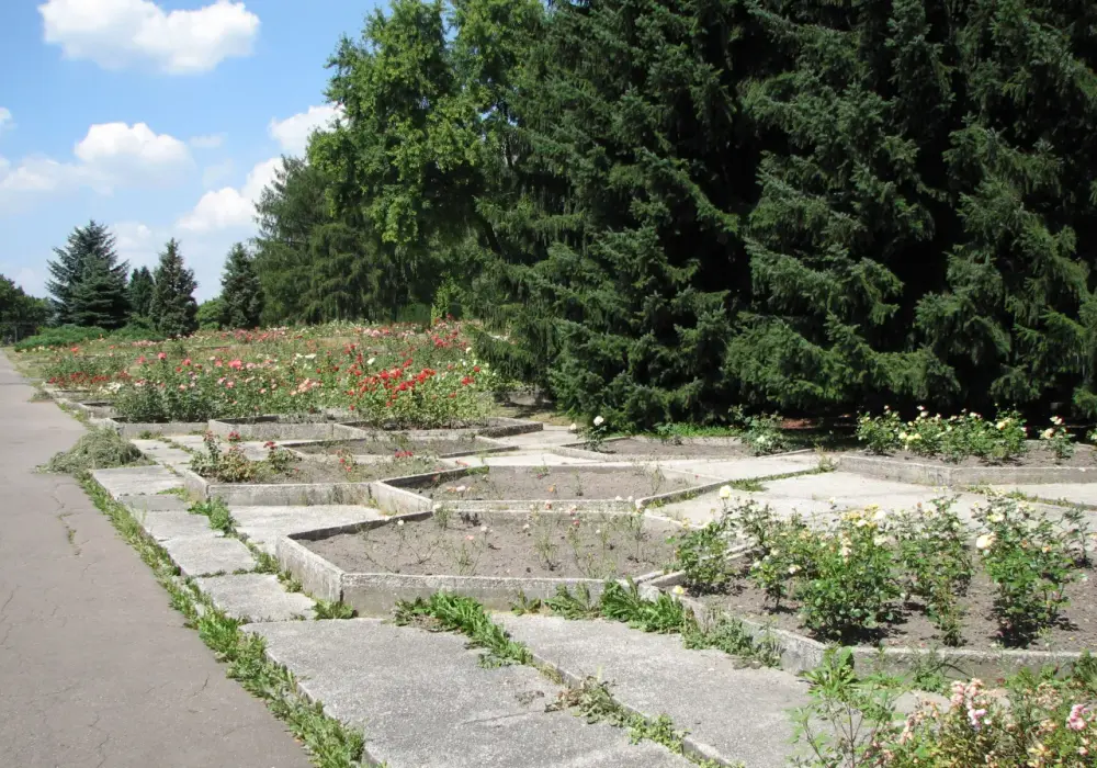 Rosarium Park Śląski: Największy ogród różany w Polsce przewodnik