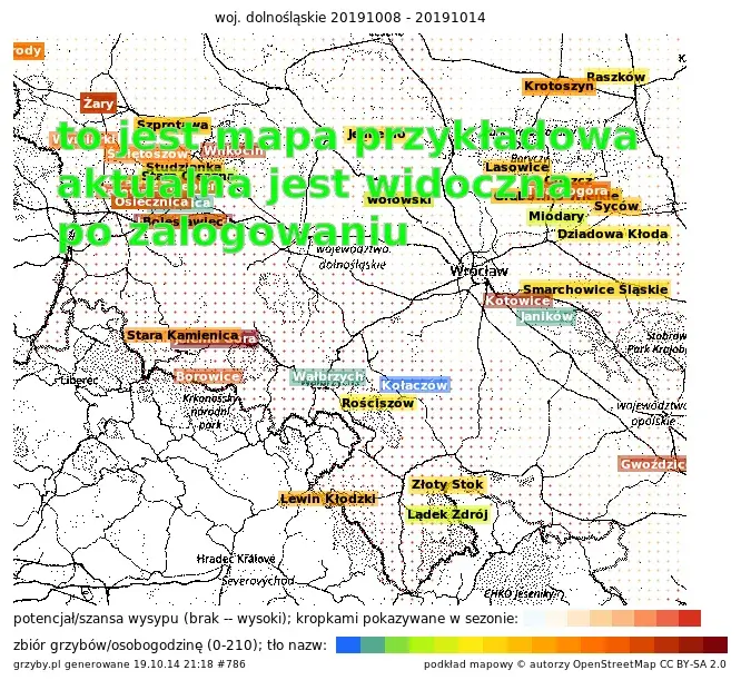 Najlepsze miejsca gdzie na jagody dolny śląsk: mapy i lokalizacje 2025