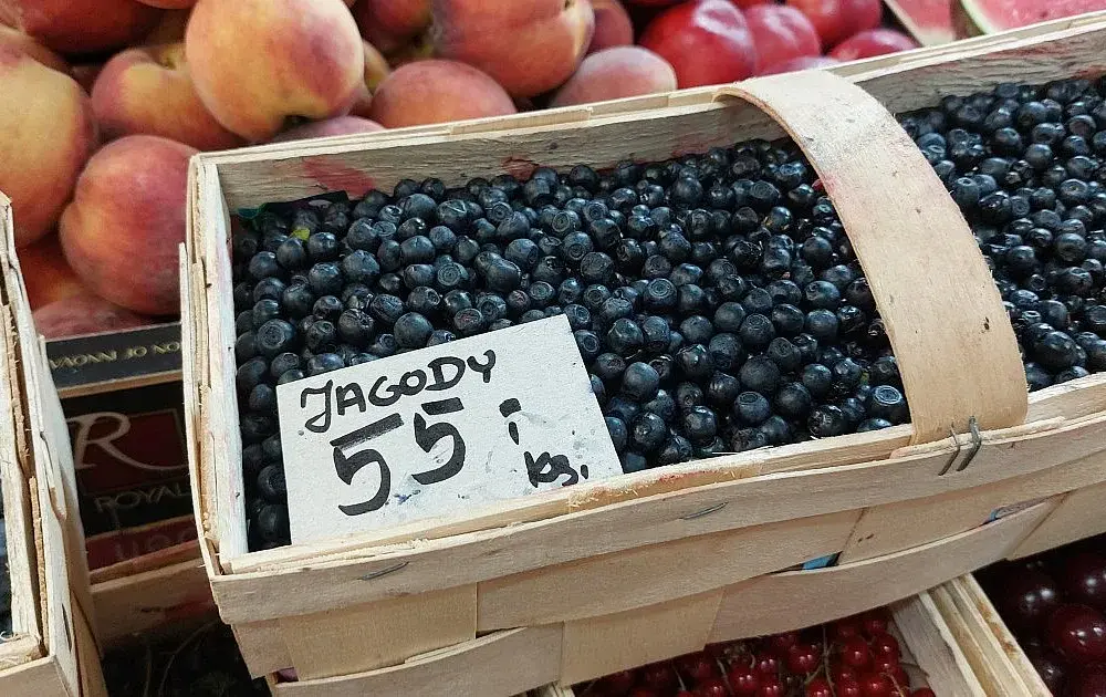Gdzie na jagody śląskie? Najlepsze miejsca na słodkie owoce w Lesie