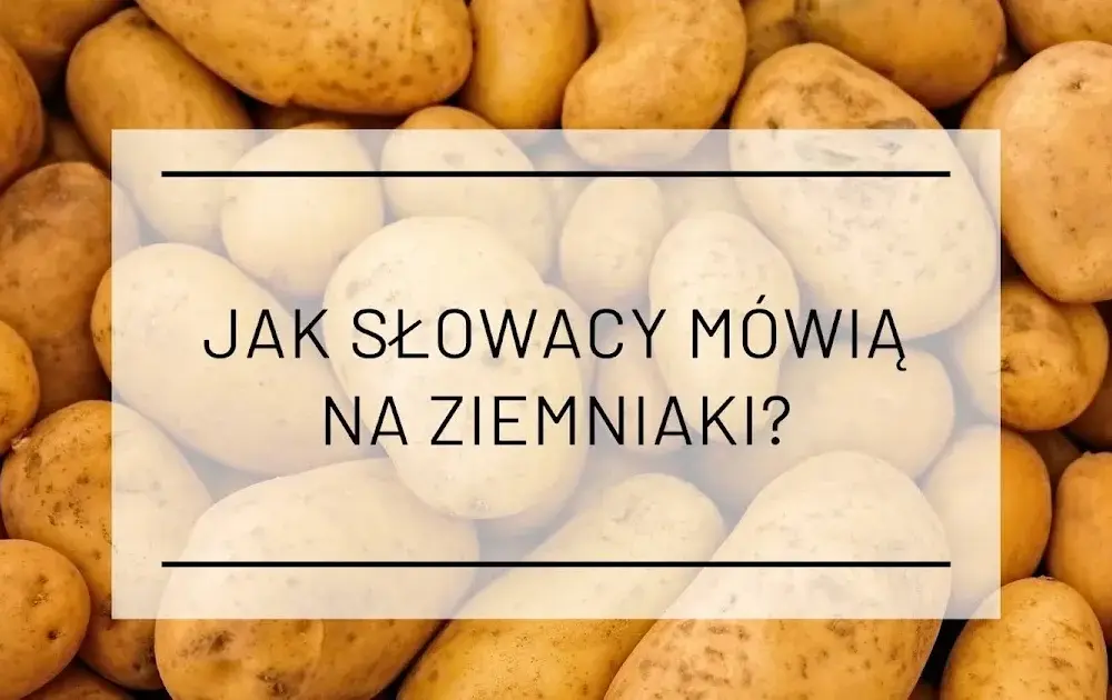 Jak się mówi na ziemniaki po śląsku? Poznaj regionalne nazwy i tradycje