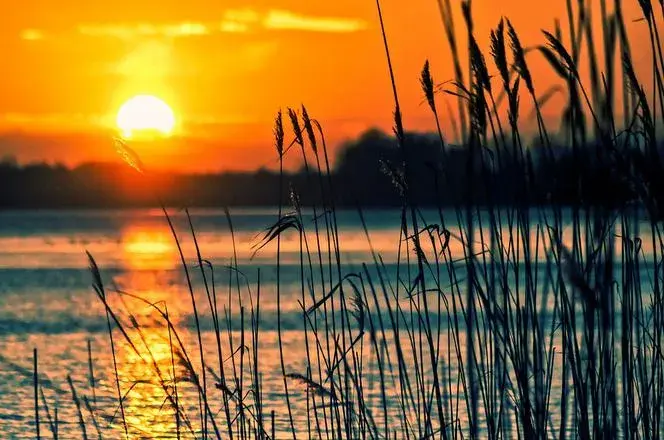 Najlepsze miejsca nad wodą na Śląsku, które warto odwiedzić latem