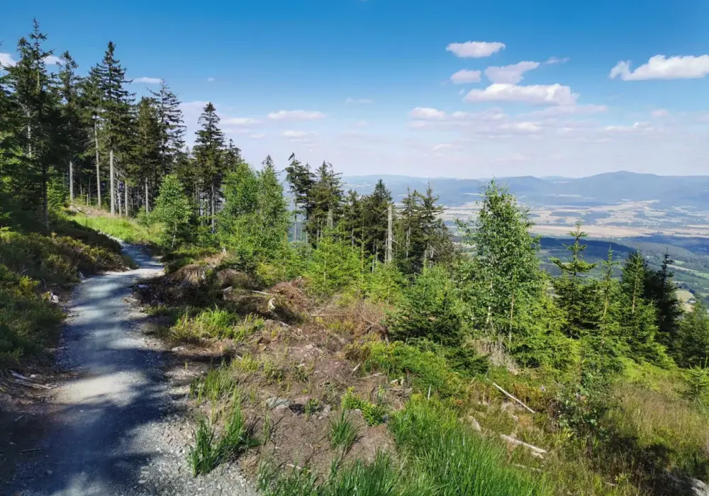 Singletrack Dolny Śląsk: najlepsze trasy rowerowe, trudności i atrakcje przyrodnicze