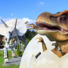 Dream Park Ochaby 2026: Ceny, atrakcje, godziny. Czy warto jechać?