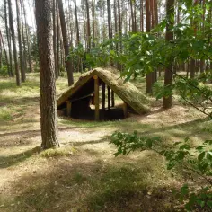 Atrakcje dla dzieci w Borach Tucholskich: 10 pomysłów na rodzinny wypoczynek