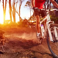 Trasy Rowerowe w Górach: 5 Szlaków dla Każdego Miłośnika Dwóch Kółek