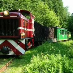 Polskie kolejki wąskotorowe: Podróż w czasie i praktyczny przewodnik
