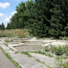Rosarium Park Śląski: Największy ogród różany w Polsce przewodnik