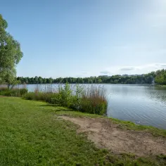 Dolina Trzech Stawów Katowice: Kompletny przewodnik po zielonej oazie