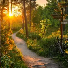 Roztocze Rowerem: 5 Tras Idealnych Dla Początkujących Cyklistów