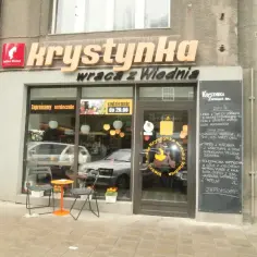 Krystynka wraca z Wiednia: Czy to najlepszy sznycel w Katowicach?