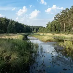 Kampinoski Park Narodowy: 6 faktów których nie znałeś o zielonej oazie