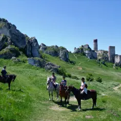 Stajnia Biały Borek: Konie, Jura, kultura. Czy to Twoje miejsce?