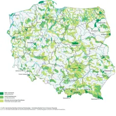 Parki Narodowe w Polsce: Interaktywna Mapa 23 Zielonych Skarbów