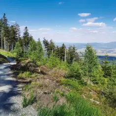 Singletrack Dolny Śląsk: najlepsze trasy rowerowe, trudności i atrakcje przyrodnicze
