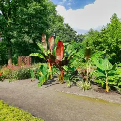 Miejski Ogród Botaniczny Zabrze: Jak zaplanować idealną wizytę?
