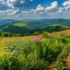 Bieszczady: Plan 3-dniowej Wycieczki Pełnej Przygód