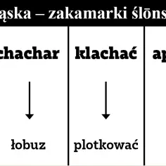 Gwara na Dolnym Śląsku - fascynująca historia języka regionalnego