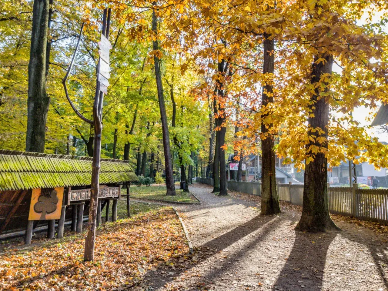 Bielskie Błonia i Cygański Las