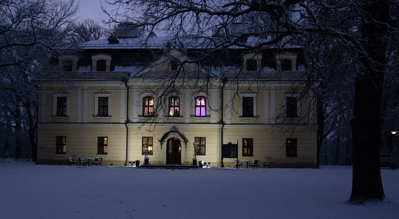 Pałac w Rybnej widok z lotu ptaka