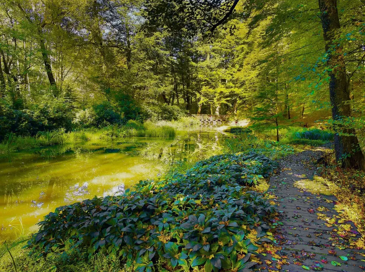 Park Krajobrazowy Cysterskie Kompozycje Rud Wielkich